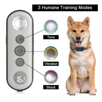 Remote dog trainer on sale