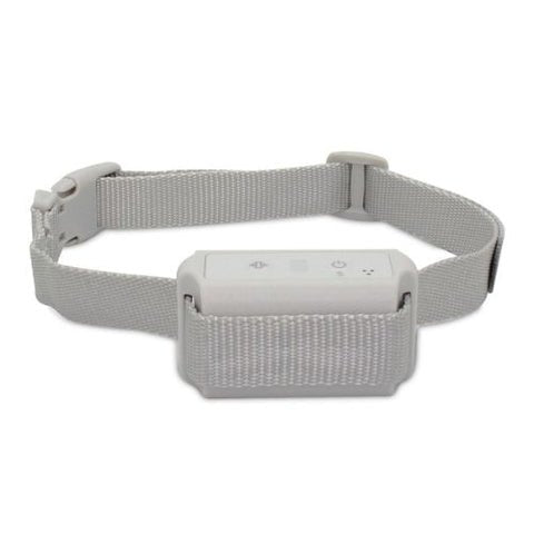 Non shock dog training collars shop