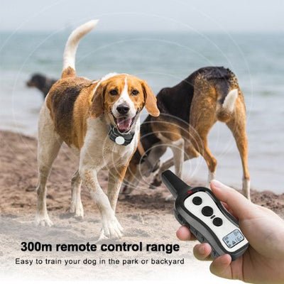 Houndware HW101: Advanced Remote Dog Training Collars for