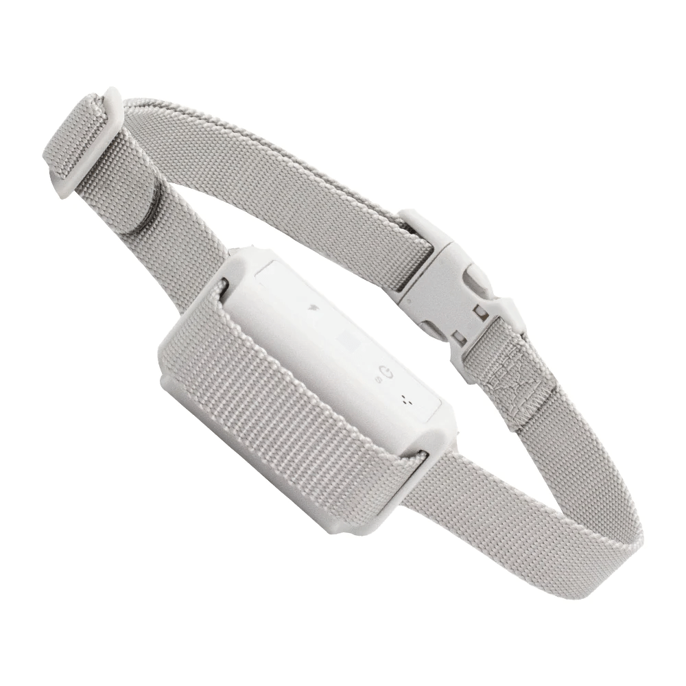 Aetertek top bark collar